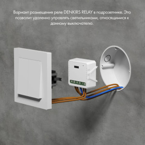 Wi-Fi реле Relay RL1001-SM